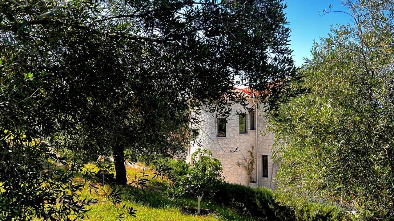 Villa Sania Kassiopi Exterior photo