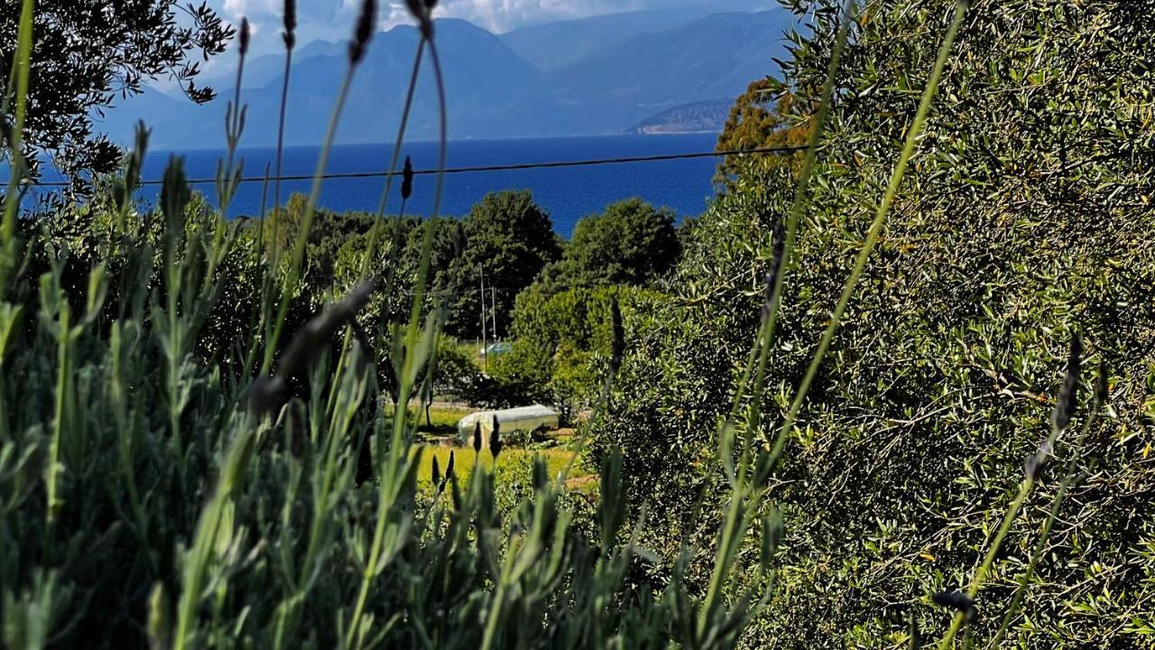 Villa Sania Kassiopi Exterior photo